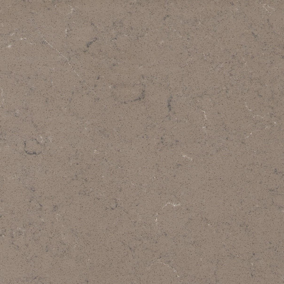 acg fossil stone